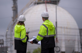 Nuclear Power Services
