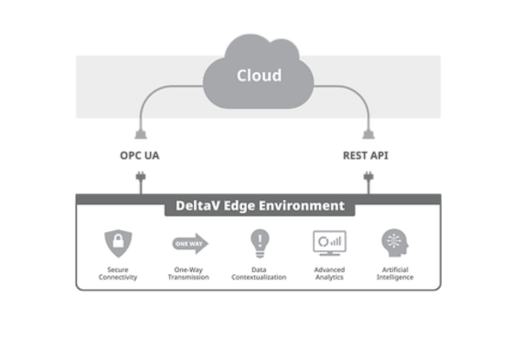 DeltaV™ Edge Environment